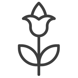 naturbestattung-icon